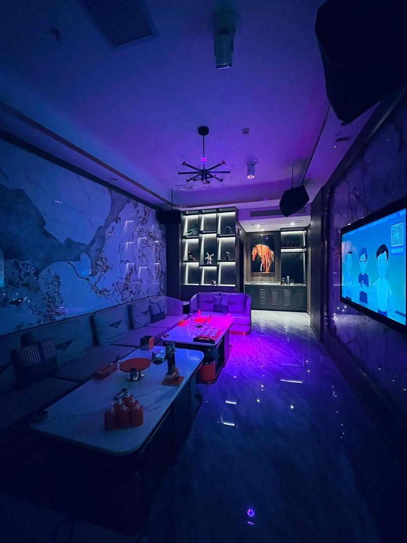 宜宾商务ktv低端场氛围-兴文县ktv预定